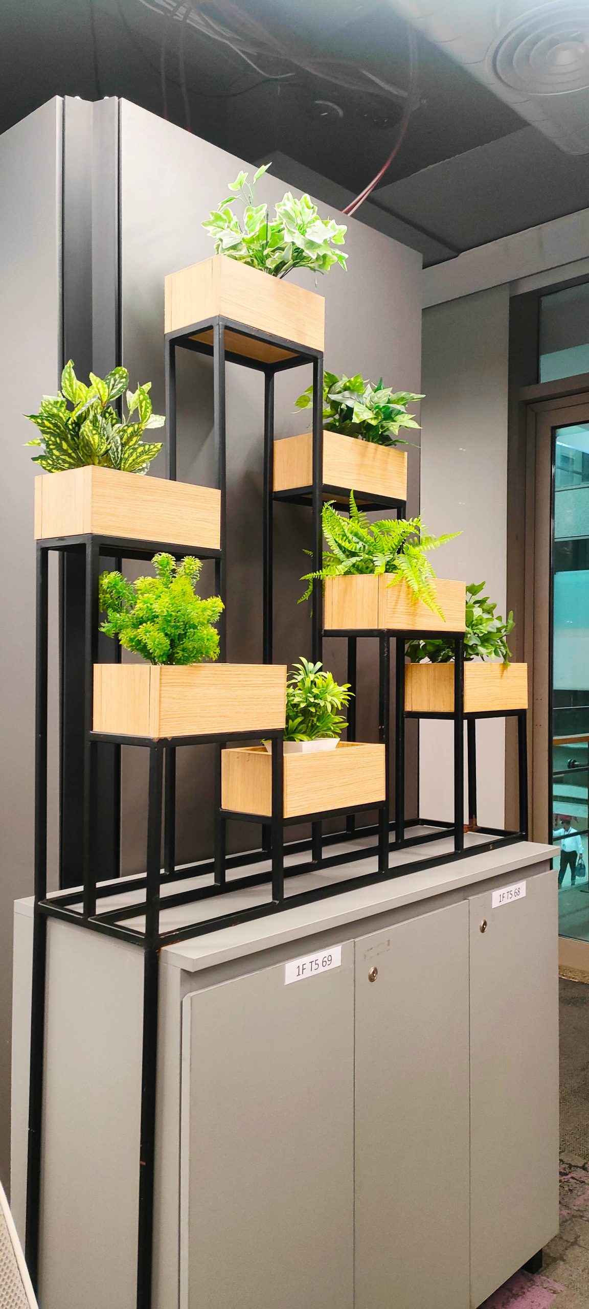 Garden as though you will live forever